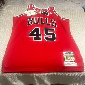 Authentic Michael Jordan Chicago Bulls Jersey #45 (1994-95)